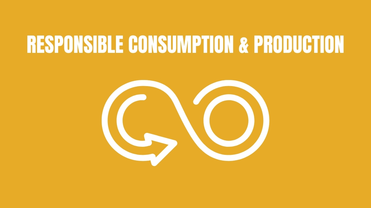 Read more about the article ENSURE SUSTAINABLE CONSUMPTION AND PRODUCTION PATTERNS: Shaping a Greener Future through Responsible Practices