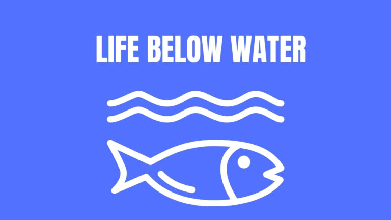 Read more about the article PROTECTING OUR OCEANS: Ensuring marine biodiversity and sustainable use of ocean resources for future  generations.