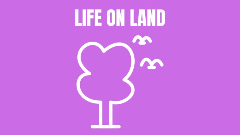 Read more about the article LIFE ON LAND: Preserving Biodiversity and Ecosystems for a Sustainable Plane