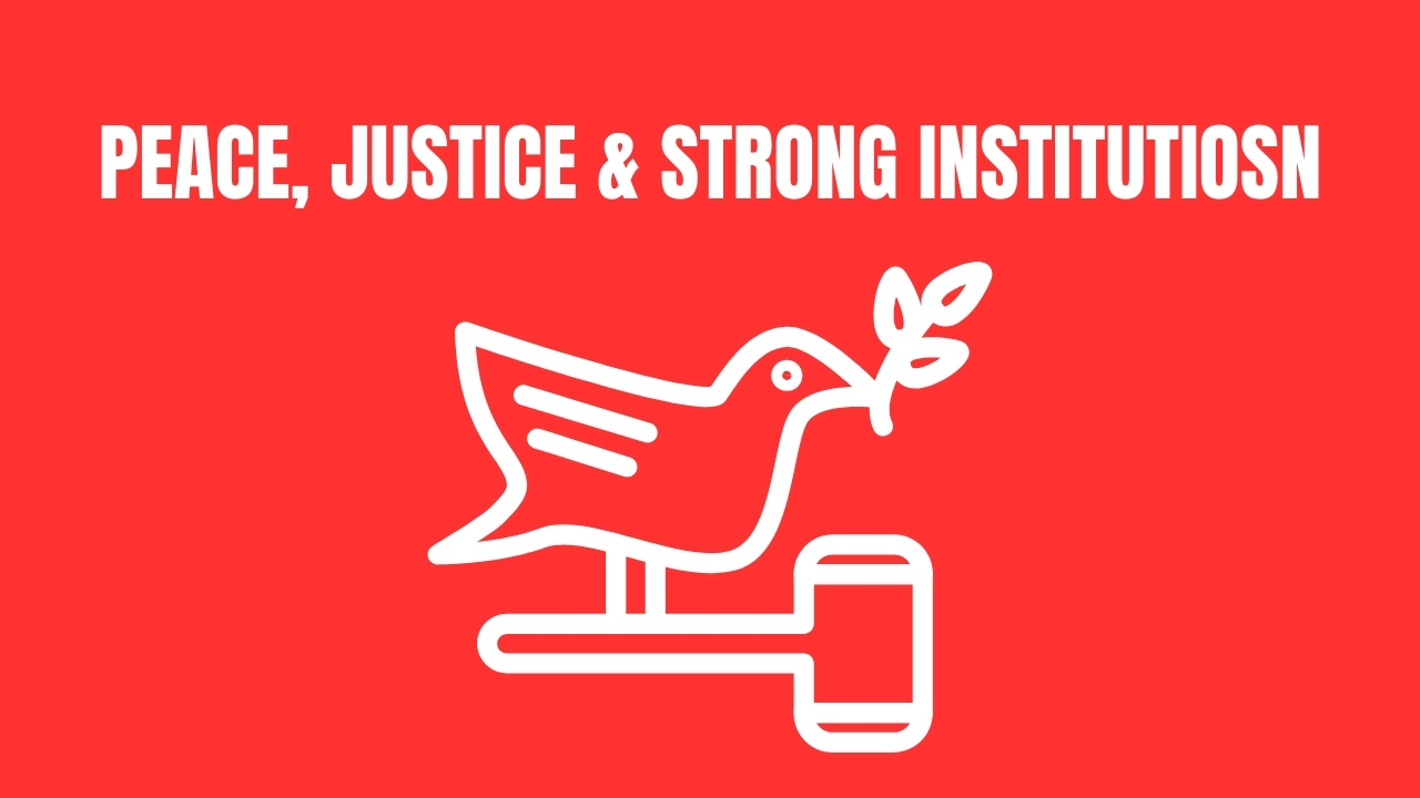 Read more about the article PEACE, JUSTICE AND STRONG INSTITUTIONS: Promote Peaceful and inclusive societies for sustainable development, provide access to justice for all and build effective, accountable and inclusive institutions at all levels